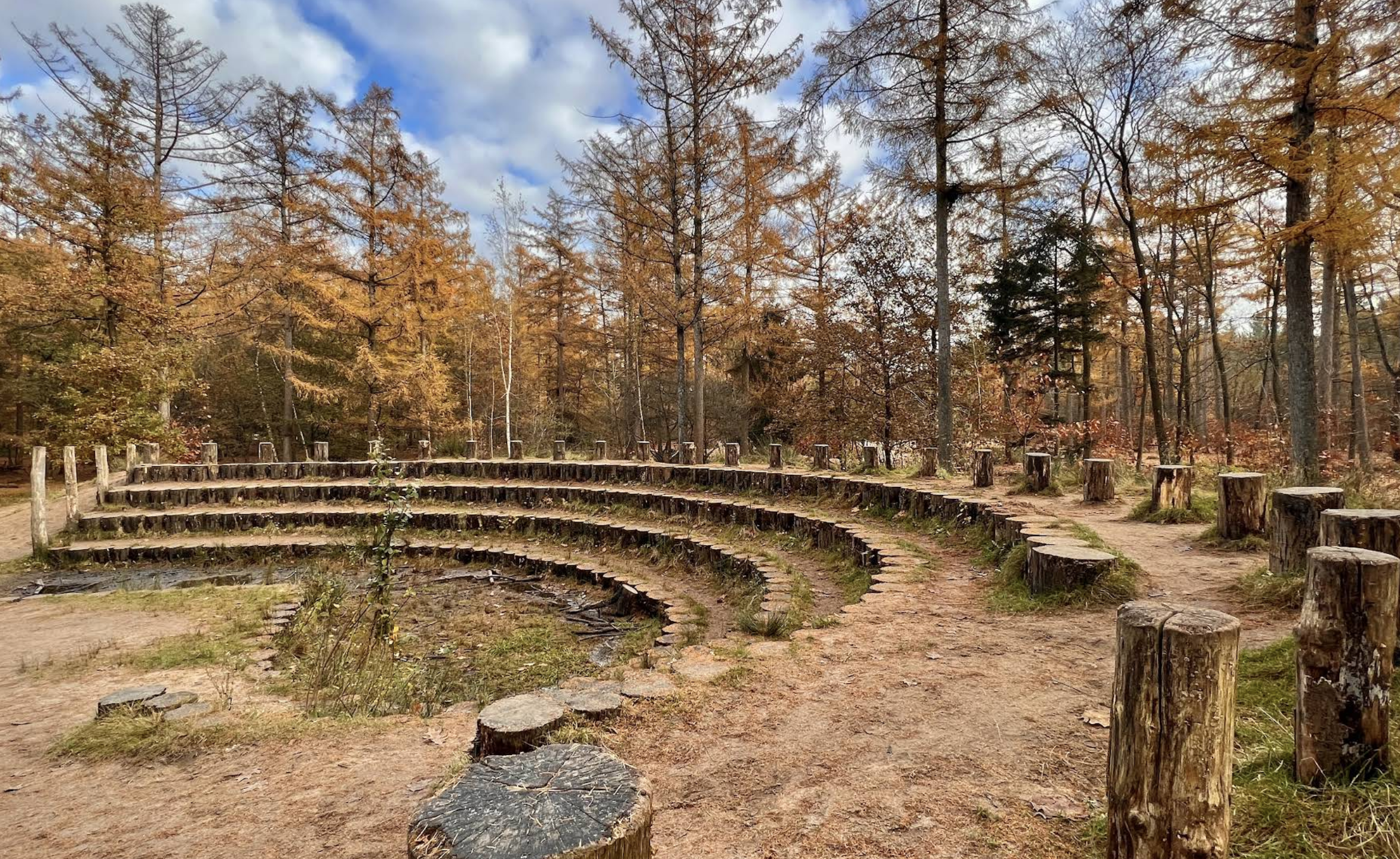 Politie en bos belletje richting politie verhaal