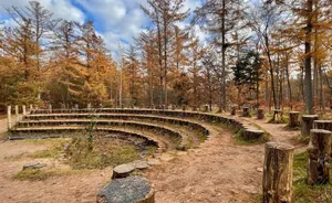 Politie en bos belletje richting politie verhaal